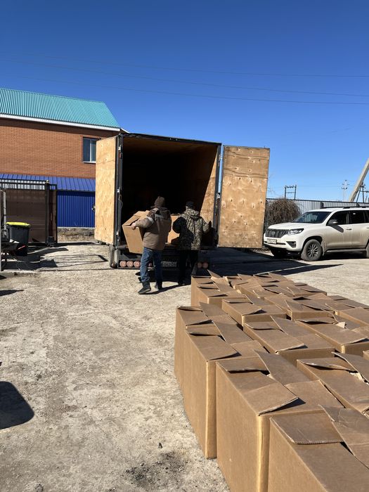 ГАЗЕЛЬ грузоперевозки с ГРУЧИКАМИ