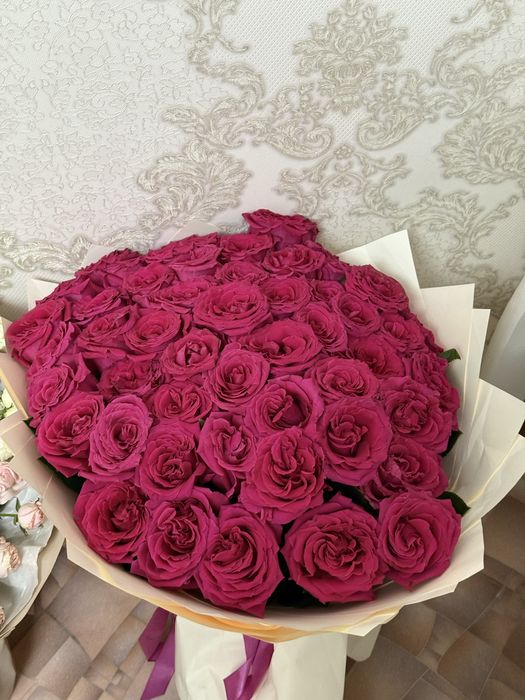 Продам 51 розу свежие