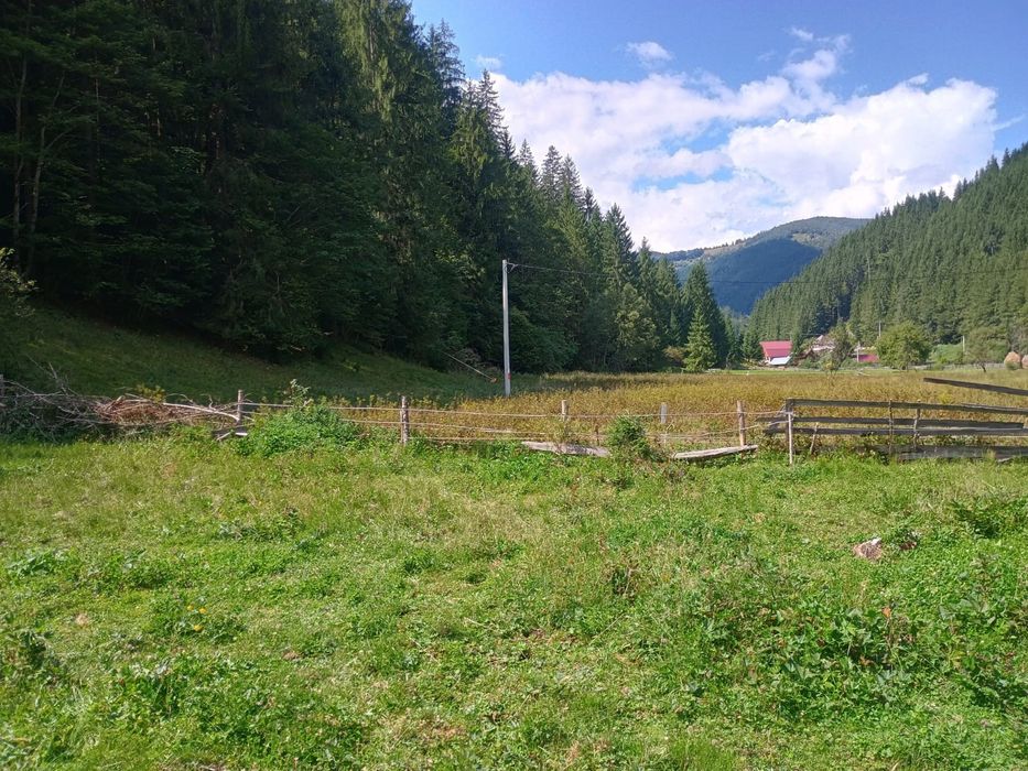 Vand teren pentru  cabana Garda de Sus