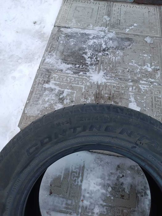 шины летние кордиант