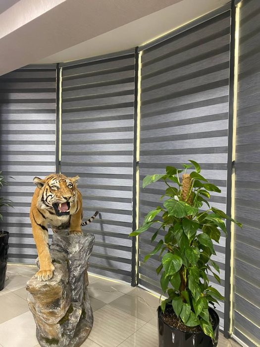 jalyuzi jalyuzi Jalyuzi jalyuzi jalyuzi Jalyuzi Jalyuzi Jalyuzi