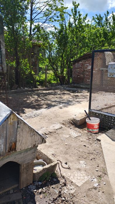 Транспортни и хамалски услуги кърти чисти извозва