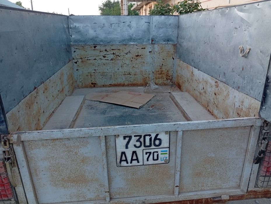 Volga prsebi bilan sotiladi