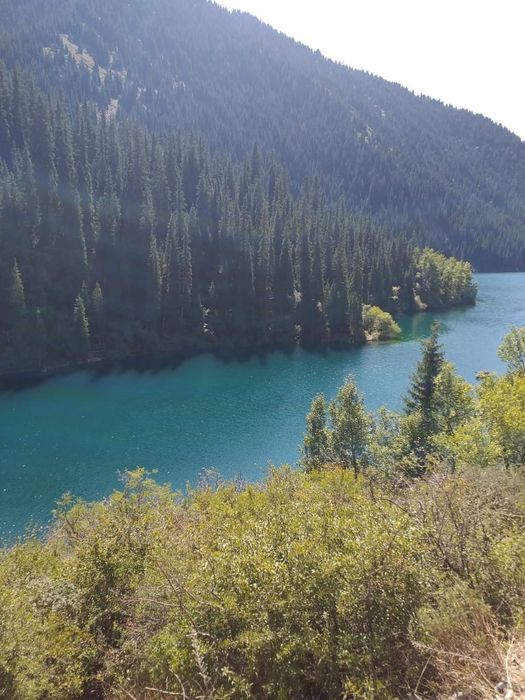 Такси Кольсай Чаринский каньон