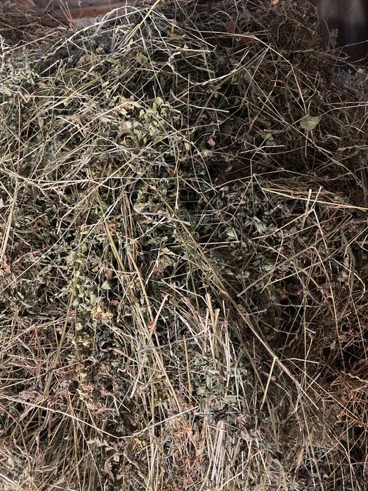 Vând fân amestecat cu lucernă