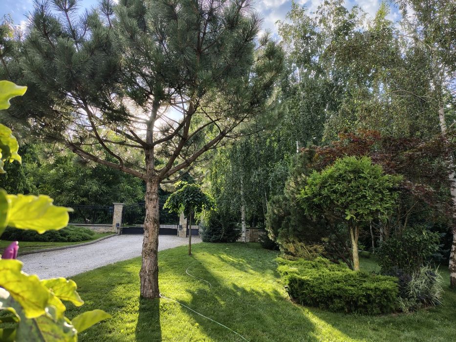 Casă de vânzare pe Aleea Dumbrăvii!