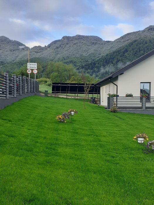 Casa de vânzare Bran Tohanita