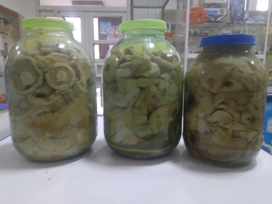 Грибы груЗди соленые