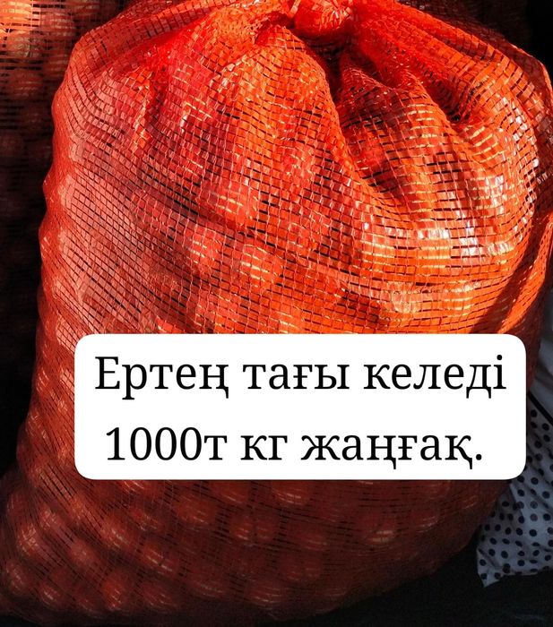 Жаңғақ 1000т срочноооо