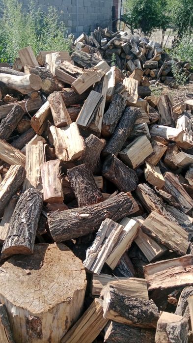 Продам Дрова Карагач