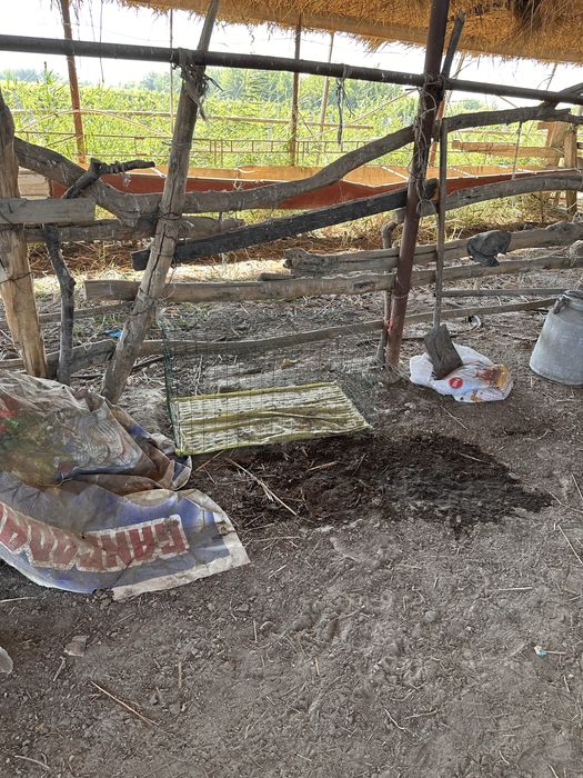 Parrandalar va boshqa hayvonlar uchun mo’ljallangan mini katak