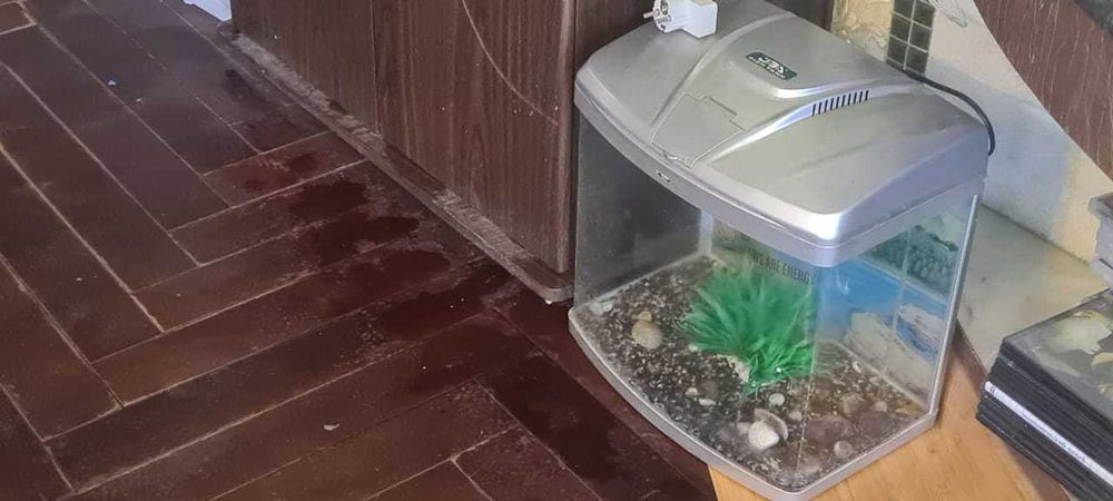 Аквариум маленький