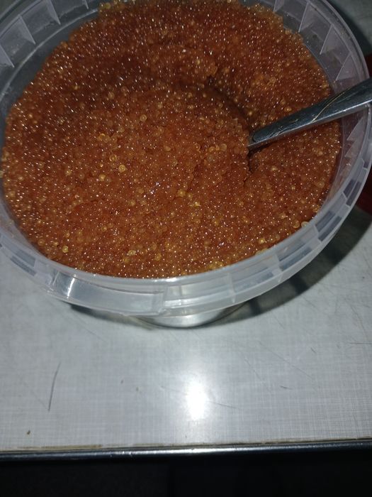 Продам икру щуки