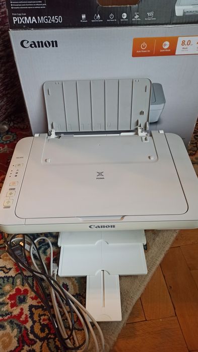 Принтер, копир, скенер Canon PIXMA MG2450