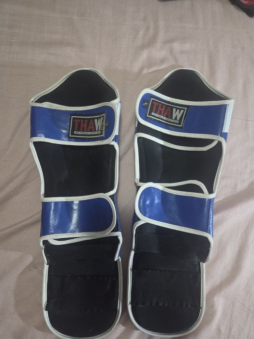 Tibiere MMA Thaw World of Martial Arts.