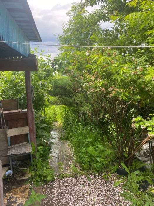 Продам дачу в пк «алма»