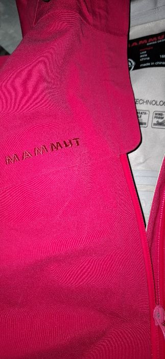 Jacheta Mammut dama