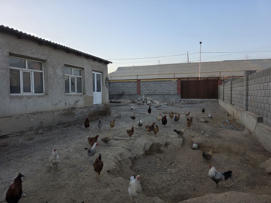 Срочно Жер үй сатылады