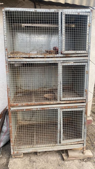 Клетки для кроликов