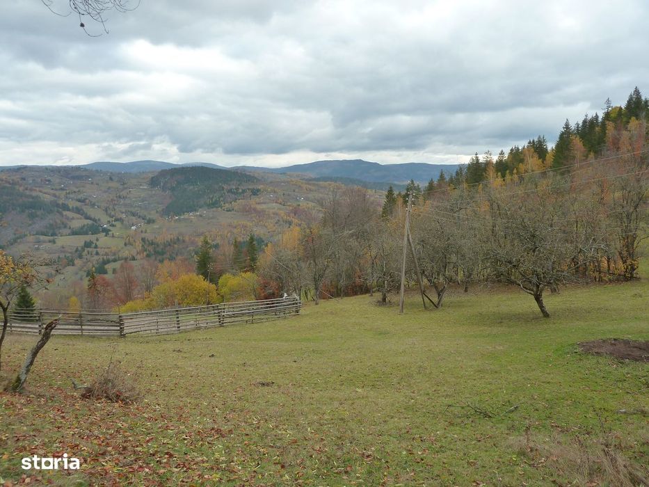 Casă + 4,4 ha (arabil, pășune, pădure), Scărișoara, Alba