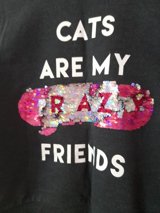 Pulovere și tricouri cu mânecă lunga, 10-14 ani, in stare excelenta.