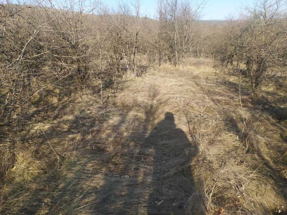 Продава се Земеделски имот в с. Войнежа, Област Велико Търново -  кв.м за 738 €/дка - Снимка #9