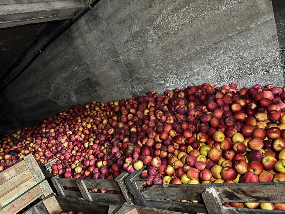 Vand mere diverse soiuri