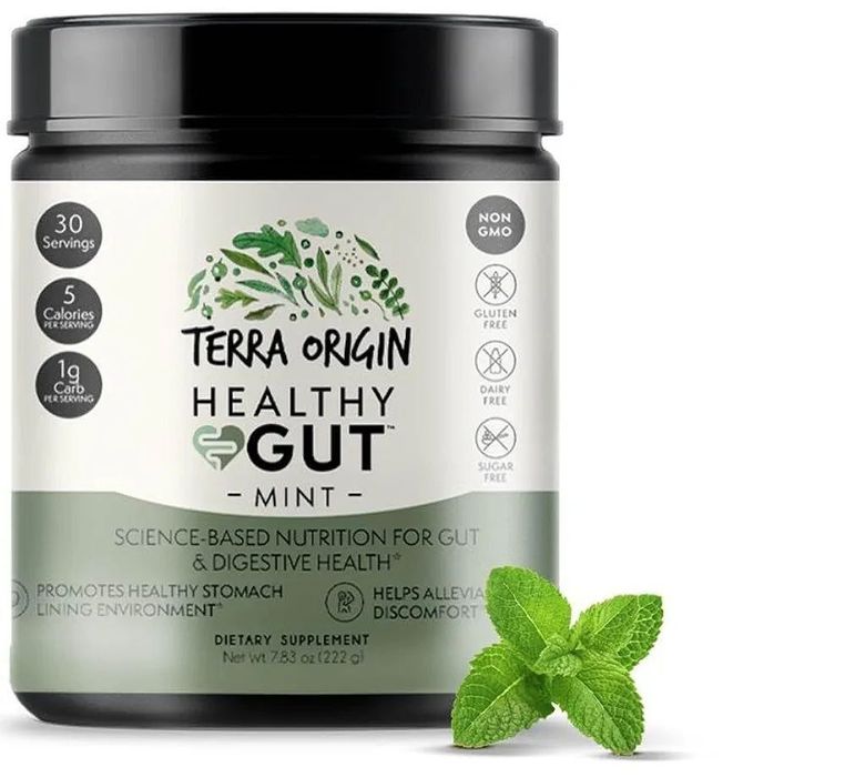 Terra Origin, HEALTHY GUT Gastrointestinal Supplement, Mint  222g