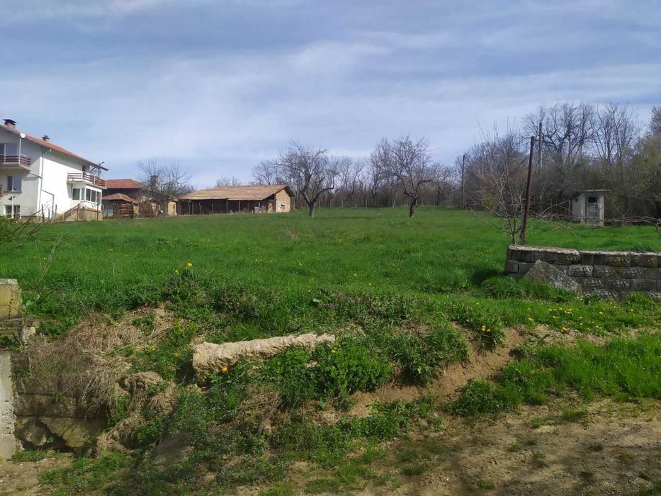 Парцел /дворно място/ в регулация в село Войнежа