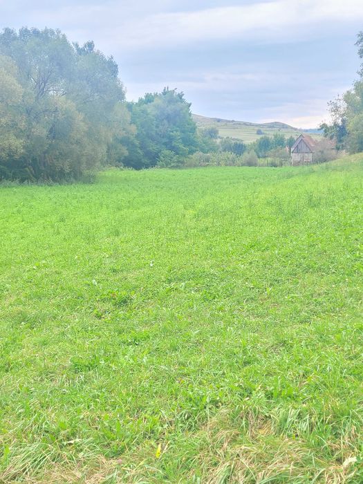 Vând Teren Intravilan .Suprafață de 7100 m2.