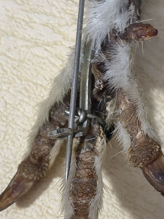 Broșă veche vanatoare