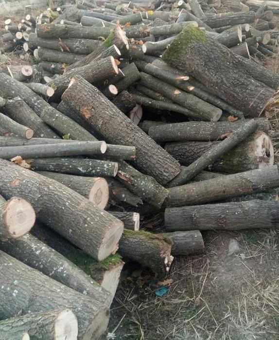 Aduc la preț accesibil