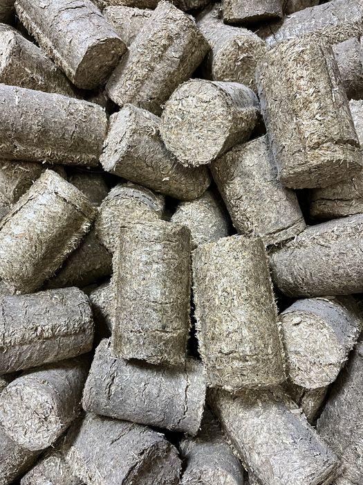 brichiete foc brad si sejar