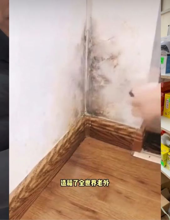 Спрей (от плесень ) көгергенге