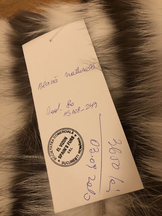 Blana naturala masura L