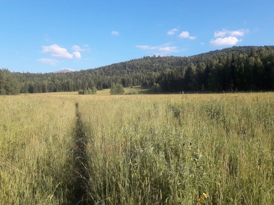 Земельный участок