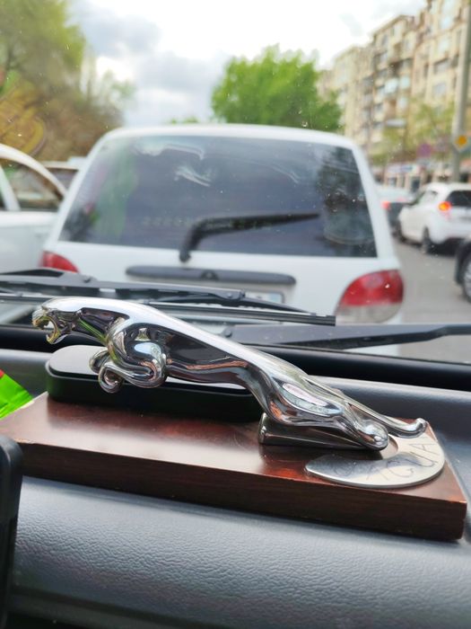 Suviner orginal jaguar amerkanskiy