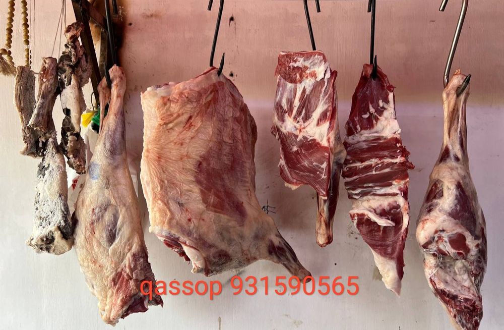 Qassop xzmati toshken shaxar