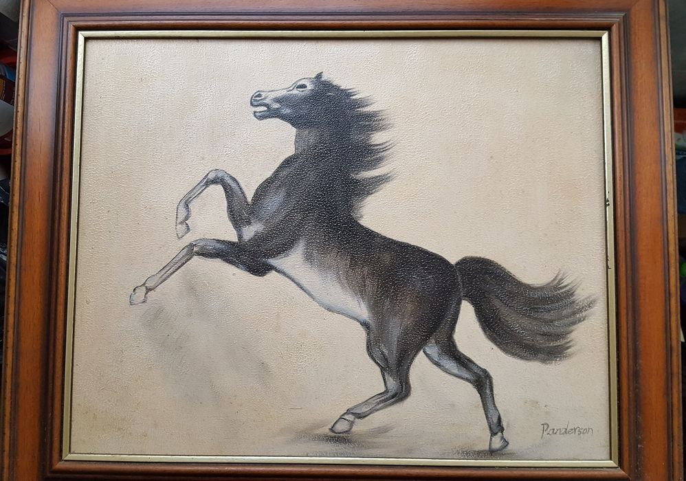 Tablouri Cal cabrat Penderson/Sorin Nicodim Jazz by step, tehn. mixta