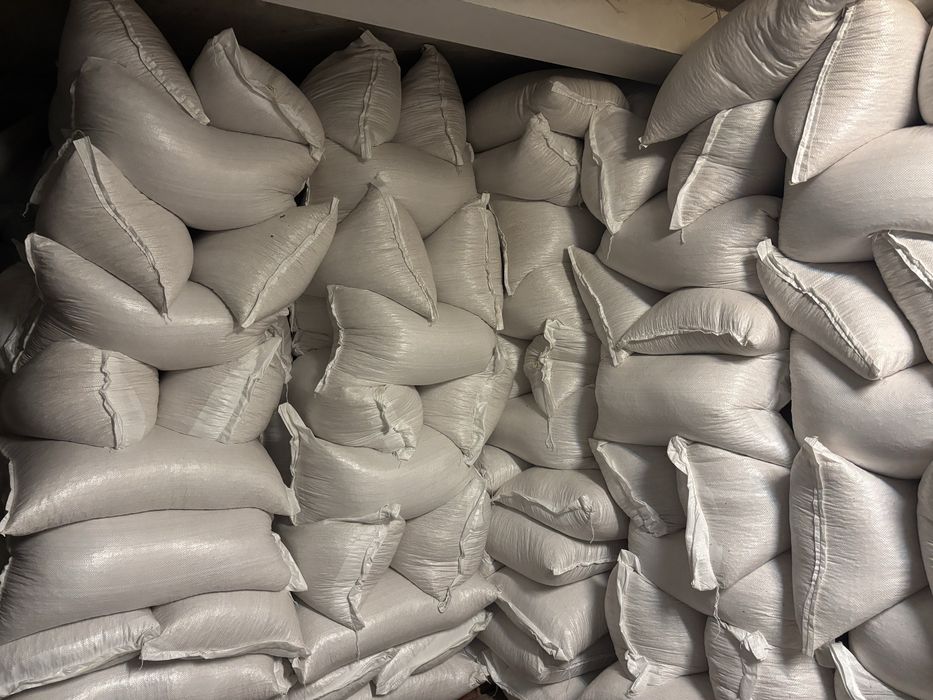 Porumb, ambalat la sac de 40 kg