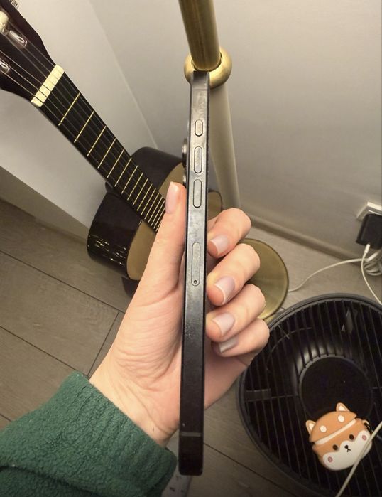 Iphone 16 Pro Max / 256 / 100% / Black / Cutie + Inarcator