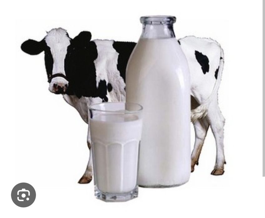 Фермерское хозяйство реализует свою продукцию