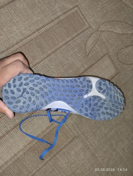 Сороконожка Puma