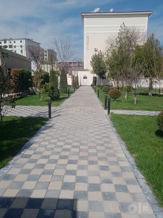 Gazon  landshaft xizmati