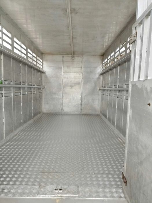 Transport Animale Vii