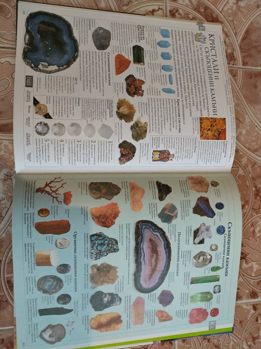 Интересна илюстрована семейна енциклопедия