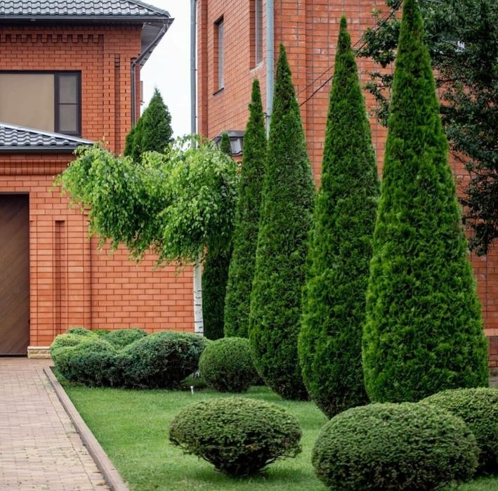 Садовник Богбон.формирование деревьев,уход за садом