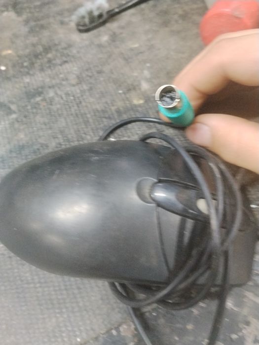 Мышка мышка мышка