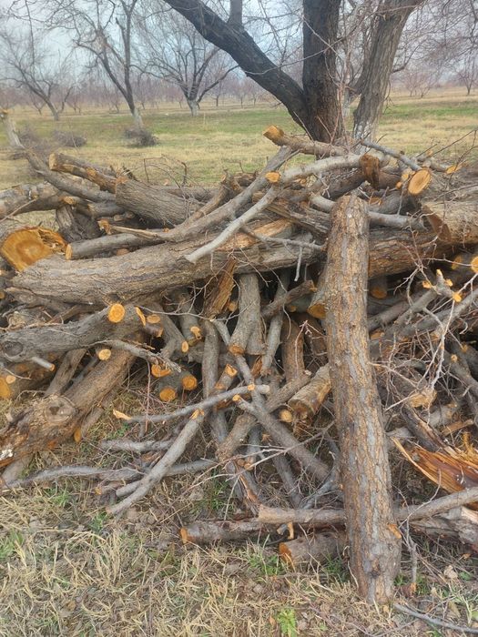 Otin sotiladi fargona