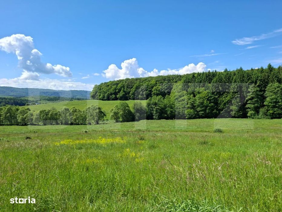 Teren Brasov , Dumbravita ,intravilan 680 mp pretabil casa sau casa de